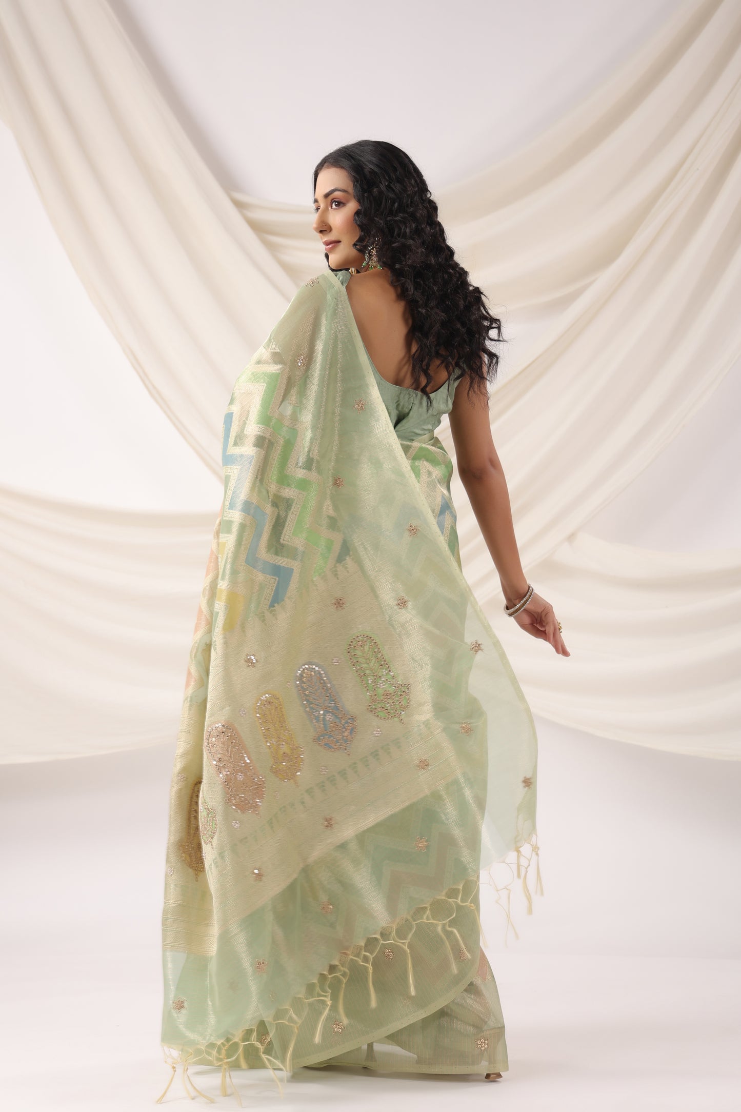 Mint Green multicolour Zari Saree