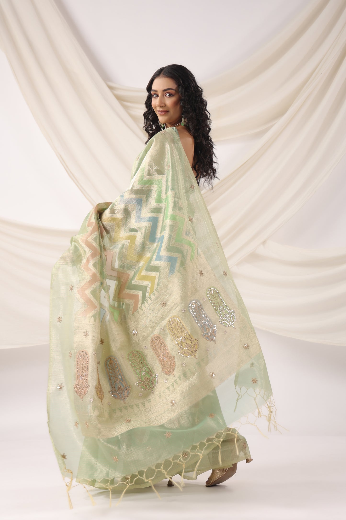 Mint Green multicolour Zari Saree